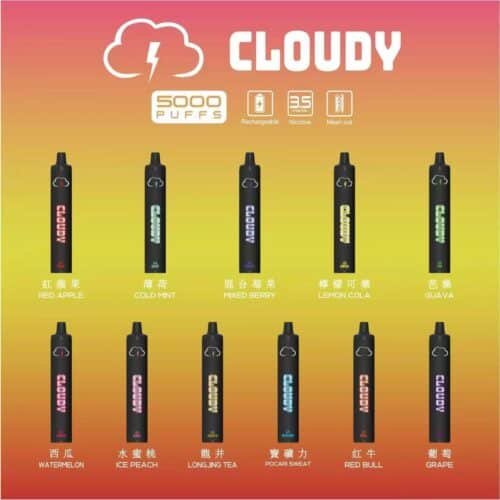 美國品牌 CLOUDY 採用純美國油 拋棄式 5000口 可充電